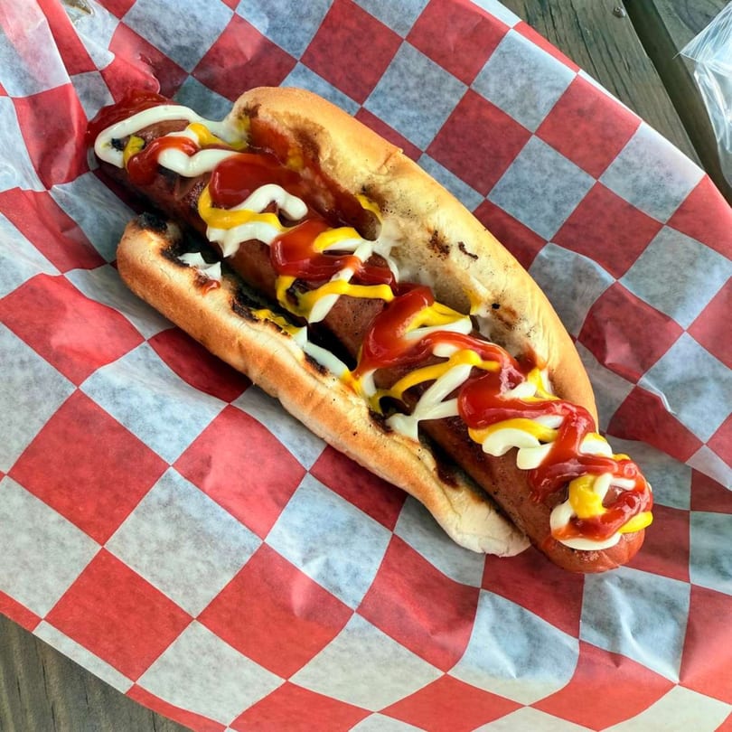 A grilled hot dog with ketchup, mustard, and mayonnaise in a bun on checkered paper.